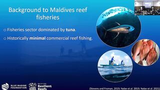 Laamu Atoll: как курорты берегут риф и рыбалка не страдает