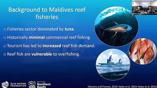 Laamu Atoll: как курорты берегут риф и рыбалка не страдает