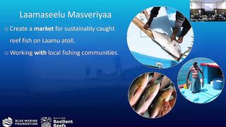 Laamu Atoll: как курорты берегут риф и рыбалка не страдает