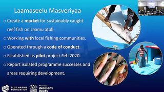 Laamu Atoll: как курорты берегут риф и рыбалка не страдает