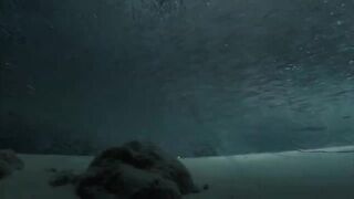 Laamu Atoll dive log 7: маленький bait ball и морская рыбалка поблизости