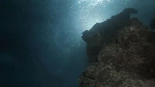 Laamu Atoll dive log 7: маленький bait ball и морская рыбалка поблизости