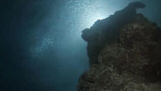 Laamu Atoll dive log 7: маленький bait ball и морская рыбалка поблизости