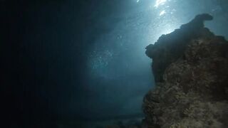 Laamu Atoll dive log 7: маленький bait ball и морская рыбалка поблизости