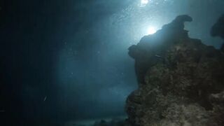 Laamu Atoll dive log 7: маленький bait ball и морская рыбалка поблизости