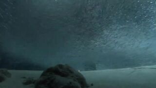 Laamu Atoll dive log 7: маленький bait ball и морская рыбалка поблизости