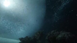 Laamu Atoll dive log 7: маленький bait ball и морская рыбалка поблизости