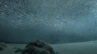 Laamu Atoll dive log 7: маленький bait ball и морская рыбалка поблизости