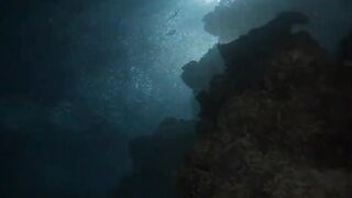 Laamu Atoll dive log 7: маленький bait ball и морская рыбалка поблизости