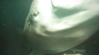 Thaa Atoll попутный бриз и морская рыбалка в тени островков