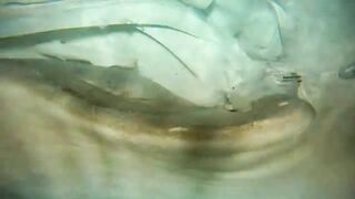 Thaa Atoll попутный бриз и морская рыбалка в тени островков