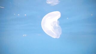 Thaa Atoll попутный бриз и морская рыбалка в тени островков