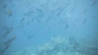 Thaa Atoll попутный бриз и морская рыбалка в тени островков