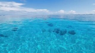 Thaa Atoll: рыбалка и подводная охота как делят точки у рифа