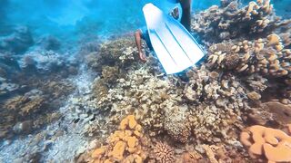 Thaa Atoll: рыбалка и подводная охота как делят точки у рифа