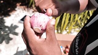 Thaa Atoll: рыбалка и подводная охота как делят точки у рифа