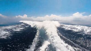 Thaa Atoll: рыбалка и подводная охота как делят точки у рифа