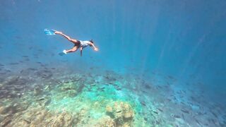 Thaa Atoll: рыбалка и подводная охота как делят точки у рифа