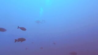 Maarehaa Kandu Gaafu Alifu морская рыбалка на свале пасса без толпы