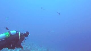 Maarehaa Kandu Gaafu Alifu морская рыбалка на свале пасса без толпы