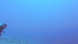 Maarehaa Kandu Gaafu Alifu морская рыбалка на свале пасса без толпы