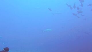 Maarehaa Kandu Gaafu Alifu морская рыбалка на свале пасса без толпы