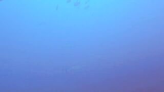 Maarehaa Kandu Gaafu Alifu морская рыбалка на свале пасса без толпы