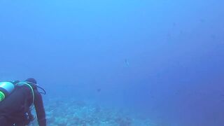 Maarehaa Kandu Gaafu Alifu морская рыбалка на свале пасса без толпы