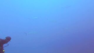 Maarehaa Kandu Gaafu Alifu морская рыбалка на свале пасса без толпы