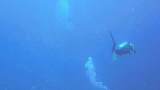 Maarehaa Kandu Gaafu Alifu морская рыбалка на свале пасса без толпы