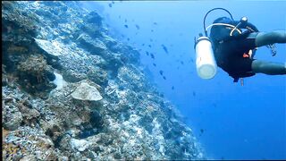 Gaafu Alifu: скалы, свалы и дайвинг, где рыбалка безопасна с берега?