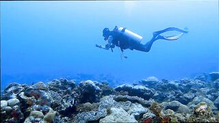 Gaafu Alifu: скалы, свалы и дайвинг, где рыбалка безопасна с берега?