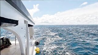 Gaafu Alifu: скалы, свалы и дайвинг, где рыбалка безопасна с берега?