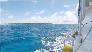 Gaafu Alifu: скалы, свалы и дайвинг, где рыбалка безопасна с берега?