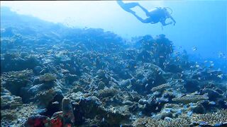 Gaafu Alifu: скалы, свалы и дайвинг, где рыбалка безопасна с берега?