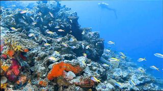 Gaafu Alifu: скалы, свалы и дайвинг, где рыбалка безопасна с берега?