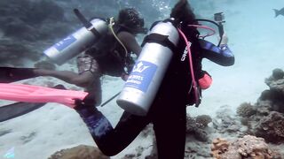 Gaafu Alifu 2024 дайвинг по стенкам и рыбалка в лагуне