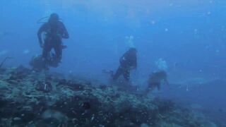 Vilingili Kandu Gaafu Alifu и морская рыбалка в окне слабого течения