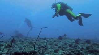 Vilingili Kandu Gaafu Alifu и морская рыбалка в окне слабого течения