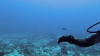 Vilingili Kandu Gaafu Alifu и морская рыбалка в окне слабого течения