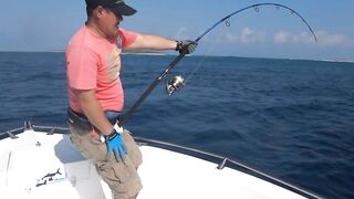 Gaafu Dhaalu GT 42 кг: короткая дуэль у пасса и визг фрикциона