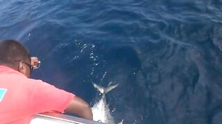 Gaafu Dhaalu GT 42 кг: короткая дуэль у пасса и визг фрикциона