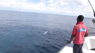 Gaafu Dhaalu экспедиция морская рыбалка на GT 41.5 кг и команда капитана