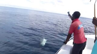 Gaafu Dhaalu экспедиция морская рыбалка на GT 41.5 кг и команда капитана