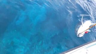 Gaafu Dhaalu экспедиция морская рыбалка на GT 41.5 кг и команда капитана