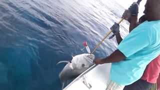 Gaafu Dhaalu экспедиция морская рыбалка на GT 41.5 кг и команда капитана