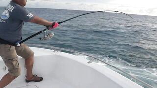 Gaafu Dhaalu 48 кг GT июнь 2012 редкая чистая вода и мощная свеча