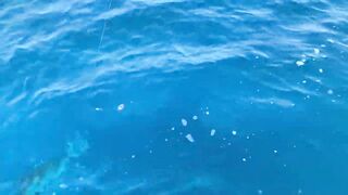 GT в Gaafu Dhaalu - поппинг и рыбалка на вечерней волне