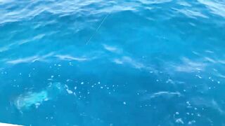 GT в Gaafu Dhaalu - поппинг и рыбалка на вечерней волне