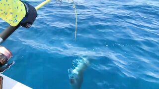 GT в Gaafu Dhaalu - поппинг и рыбалка на вечерней волне